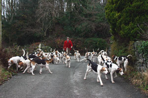 Fox Hunting photographs by Betty Fold Gallery